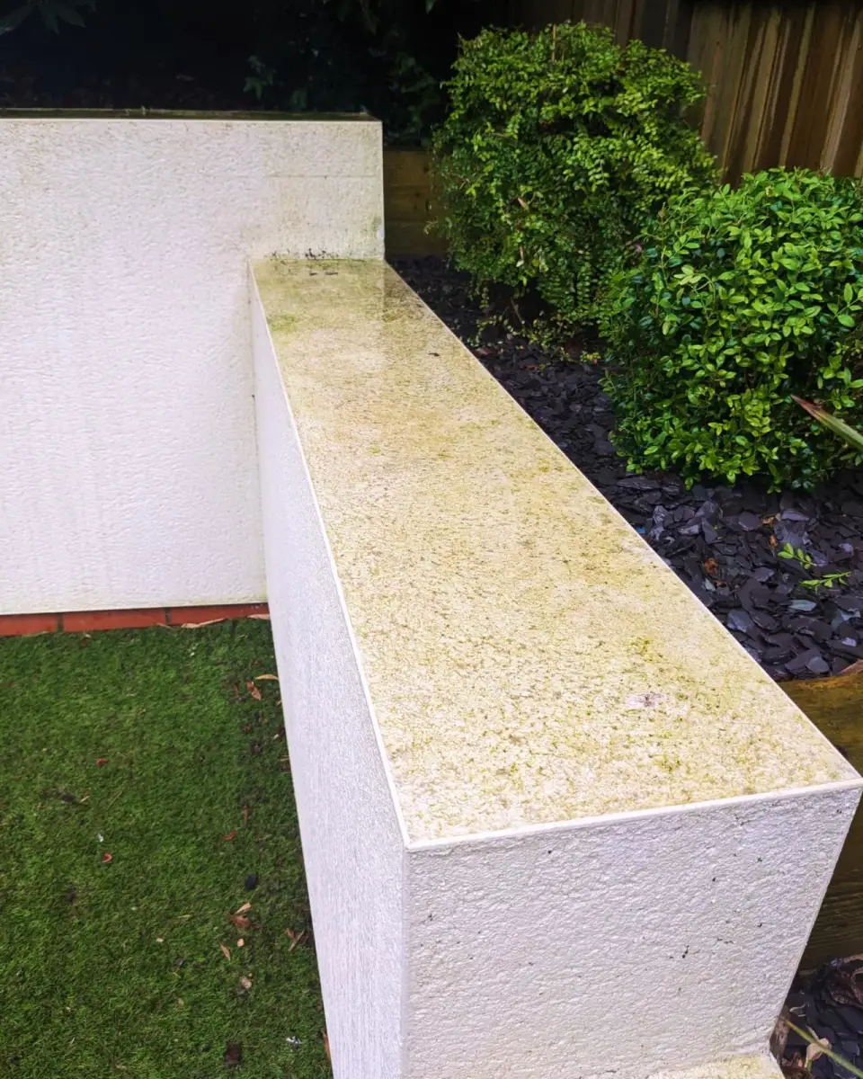 Rendered wall, Kingston upon Thames — before cleaning