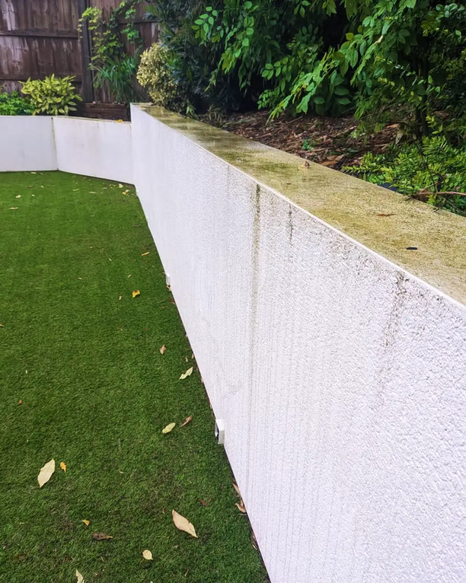 Rendered garden wall, Kingston upon Thames — before cleaning