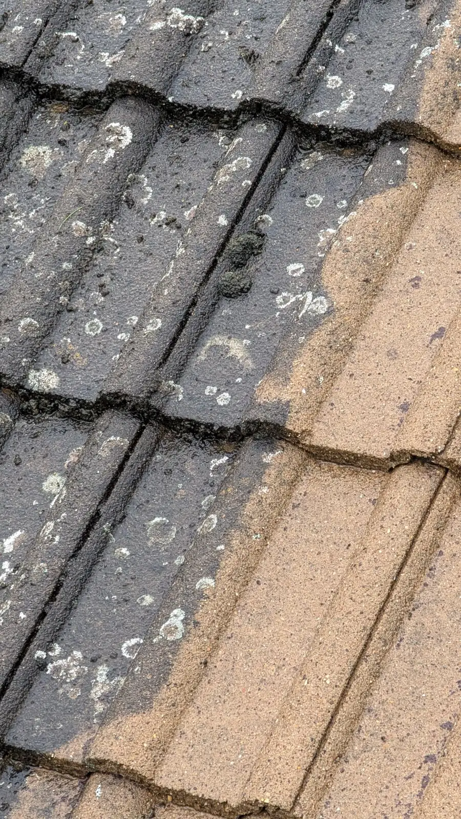 Close-up of tiles mid-clean, Sutton